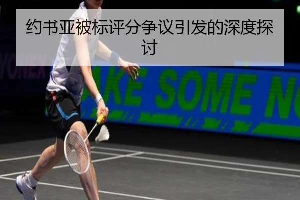 约书亚被标评分争议引发的深度探讨